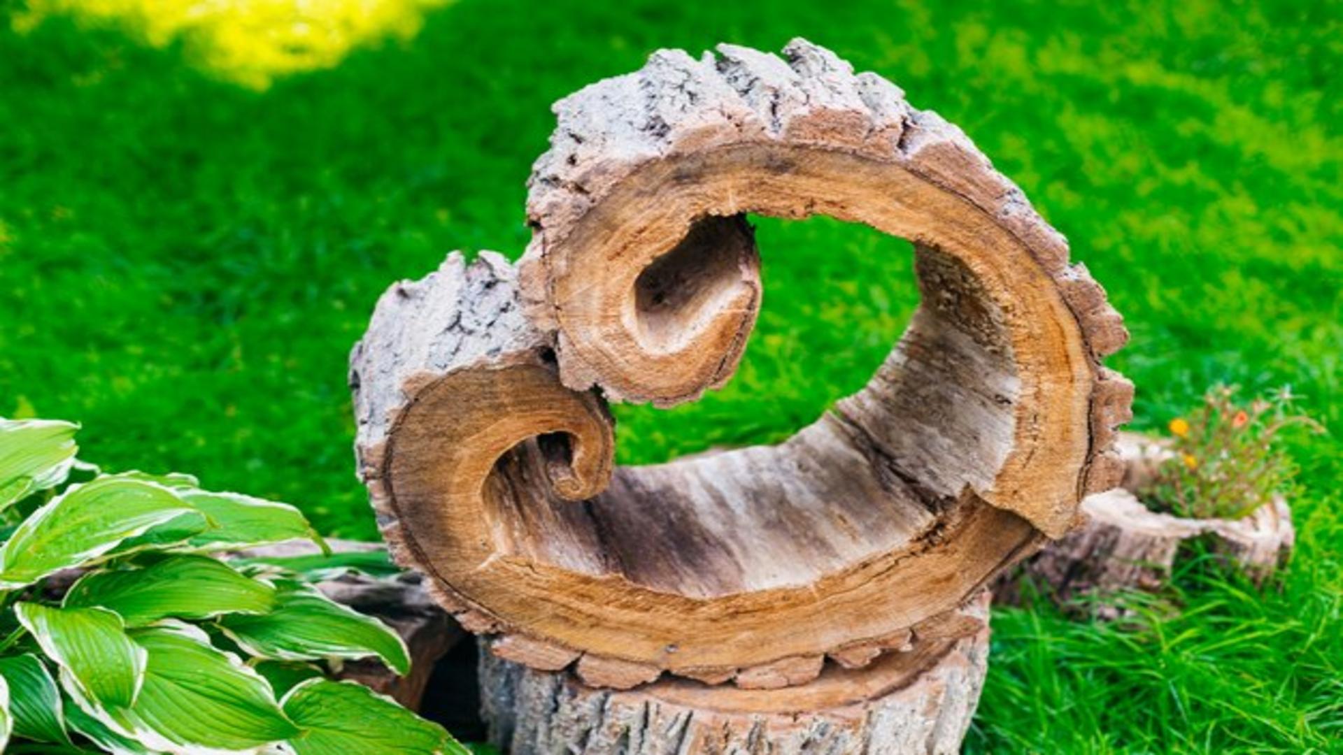 Jak ozdobić pień drzewa w ogrodzie?